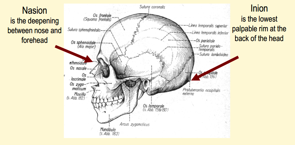 Nasion & Inion Landmarks