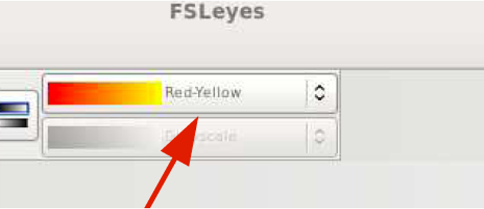 FSLeyes colour